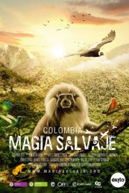 Colombia: Wild Magic