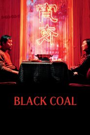 Black Coal, Thin Ice