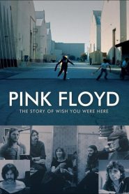 Pink Floyd: The Story of Wish You Were Here