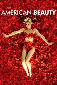 American Beauty