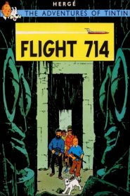 Flight 714