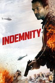 Indemnity