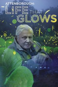 Attenborough’s Life That Glows