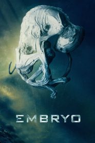 Embryo