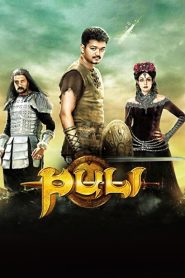 Puli