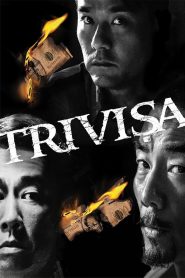 Trivisa