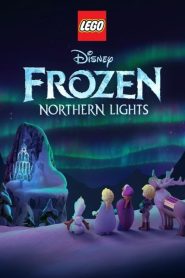 LEGO Frozen Northern Lights