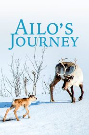 A Reindeer’s Journey