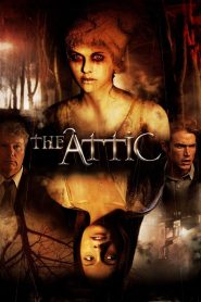 The Attic