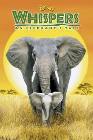 Whispers: An Elephant’s Tale