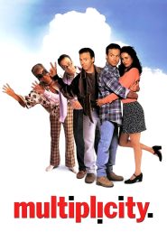 Multiplicity