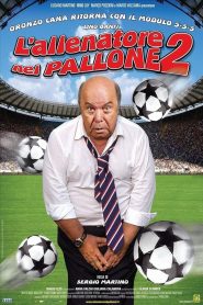 L’allenatore nel pallone 2