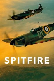 Spitfire