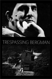 Trespassing Bergman