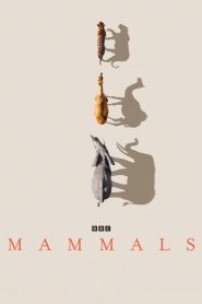 Mammals