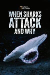 When Sharks Attack… and Why