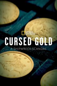 Cursed Gold: A Shipwreck Scandal