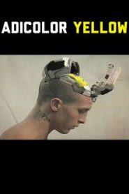 Adicolor Yellow