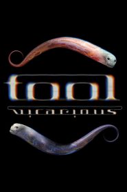 Tool – Vicarious