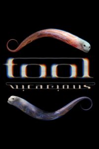 Tool – Vicarious