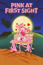 The Pink Panther in ‘Pink at First Sight’
