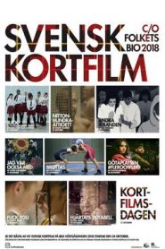 Götaplatsen #flerochfler