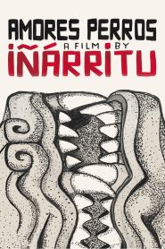 Amores Perros