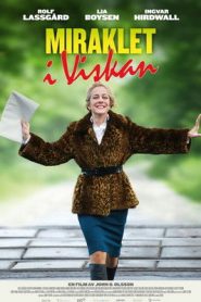 Miraklet i Viskan