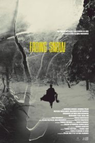 Fading Snow
