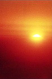 There’s Many Friends Along This Way