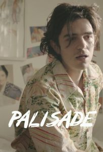 Palisade