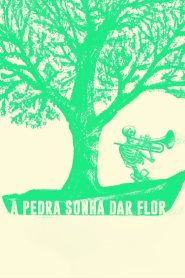 A Pedra Sonha Dar Flor