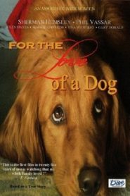 For the Love of a Dog