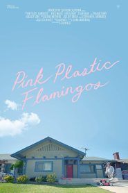 Pink Plastic Flamingos