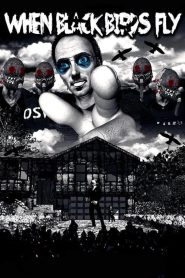 When Black Birds Fly