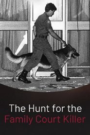The Hunt for the Family Court Killer