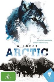 Wildest Arctic