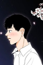 A Touch on Your Cheek