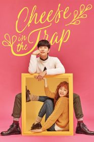 Cheese in the Trap