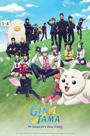 GINTAMA – Mr. Ginpachi’s Zany Class