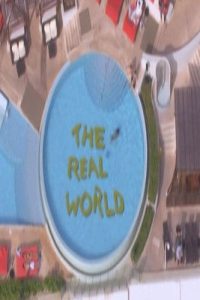 The Real World: Season 22