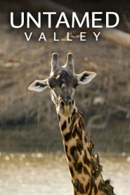 Untamed Valley