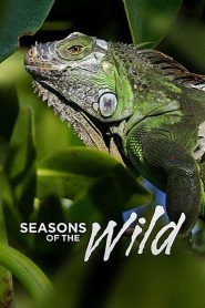 Seasons of the Wild