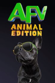 America’s Funniest Home Videos: Animal Edition