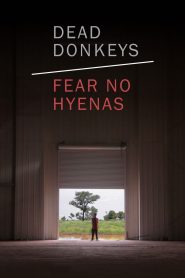 Dead Donkeys Fear No Hyenas