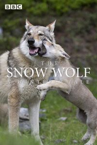 The Snow Wolf: A Winter’s Tale