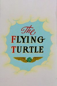 The Flying Turtle