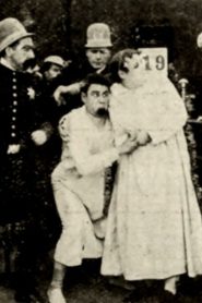 Hoffmeyer’s Legacy