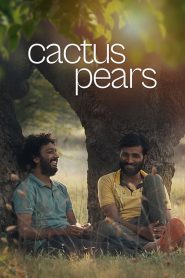 Cactus Pears