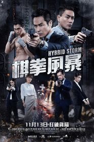 Hybrid Storm